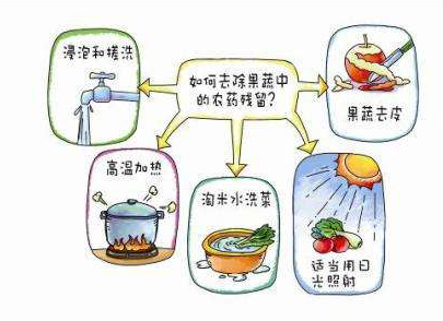 如何減少農藥污染去除農藥殘留？振華化工總結以下幾點(diǎn)分享給大家